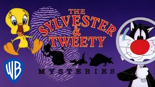 Looney Tunes SINGALONG  The Sylvester  Tweety Mysteries Theme Song  WB Kids