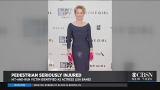 HitAndRun Victim Identified As Actress Lisa Banes