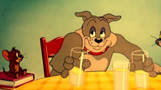 Tom And Jerry cartoon  The Truce Hurts Classic Cartoon 