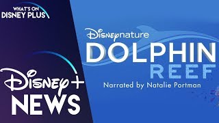 DisneyNatures Dolphin Reef Coming Soon To Disney  Disney Plus News