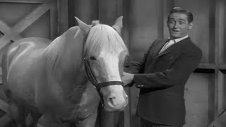 Mister Ed Season 1 Episode 1 1961 The First Meeting