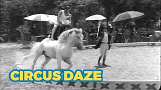 Circus Daze 1928 Poodles Hanneford   Short Comedy Silent Film