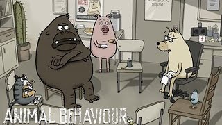 Animal Behaviour 2018 Animated Short Film  David Fine Alison Snowden