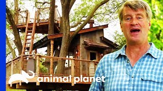 Building An Unbelievable Rustic River Treehouse  Treehouse Masters