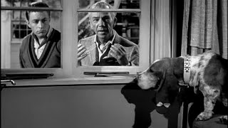 My Favorite Martian Season 1 Episode 2 1963 The Matchmakers