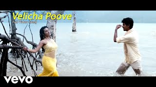 Ethir Neechal  Velicha Poove Video  Sivakarthikeyan Priya