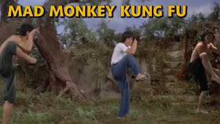 I WAS IN MAD MONKEY KUNG FU 1979