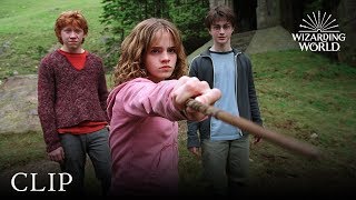 Hermione Granger vs Draco Malfoy  Harry Potter and the Prisoner of Azkaban