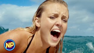 Shark Attack  Soul Surfer 2011  Now Playing