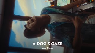 A DOGS GAZE Trailer  RIGA IFF 2023