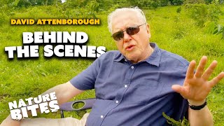 Exclusive Access Unveiling David Attenborough Behind the Scenes  Galapagos 3D  Nature Bites
