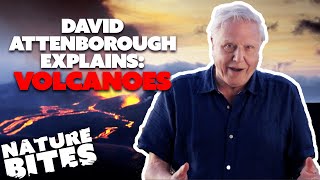 David Attenborough Explains Volcanoes  Galapagos 3D  Nature Bites