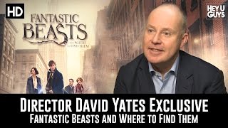 Fantastic Beasts and Where to Find Them Director David Yates Exclusive Interview