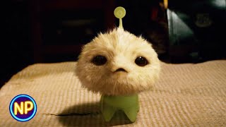 Dicky Gets a New Pet  CJ7 2008  Now Playing