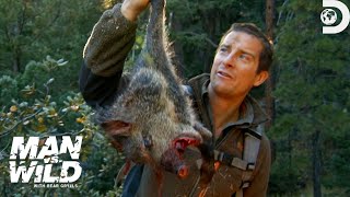Bear Grylls JawDropping Hunt for a Wild Pig  Man Vs Wild  Discovery