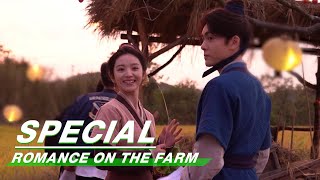 Wrap Up Special  Romance on the Farm    iQIYI