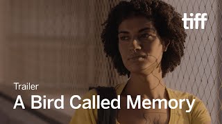 A BIRD CALLED MEMORY Trailer  TIFF 2023