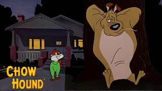 Chow Hound 1951 Warner Bros Looney Tunes Cartoon Short Film