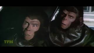 Dana Gould on ESCAPE FROM THE PLANET OF THE APES