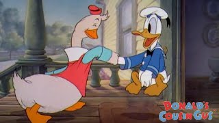 Donalds Cousin Gus 1939 Disney Donald Duck  Cartoon Short Film