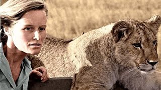 BORN FREE  THE STORY OF ELSA THE LIONESS