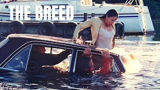 The Breed 2006 Film Explained in English  Movie Recap
