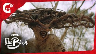 The Birch  The Protector  Crypt TV Monster Universe  Short Film