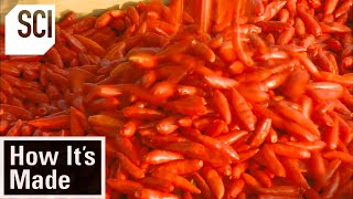How Its Made Hot Sauce