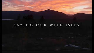 David Attenboroughs story of hope for UK nature  Saving Our Wild Isles
