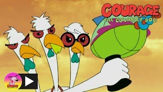 Courage The Cowardly Dog  Son of the Chicken from Outer Space  Cartoon Network