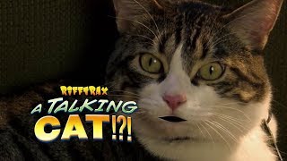RiffTrax A Talking Cat Now Available