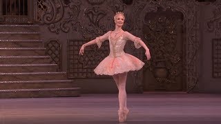 Dance of the Sugar Plum Fairy from The Nutcracker The Royal Ballet