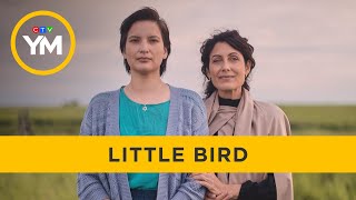 Powerful new series Little Bird  Your Morning