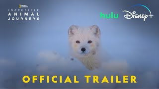 Incredible Animal Journeys  Official Trailer  National Geographic
