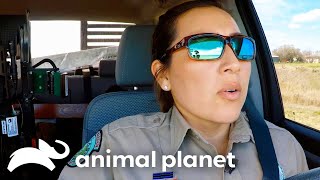 Game Wardens Catch a Man With a Criminal Record  Lone Star Law  Animal Planet