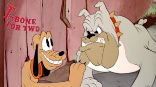 TBone for Two 1942 Disney Pluto and Butch Cartoon Short Film
