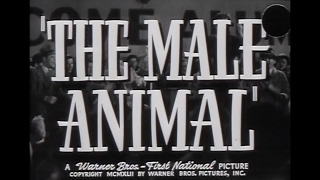 The Male Animal  Trailer