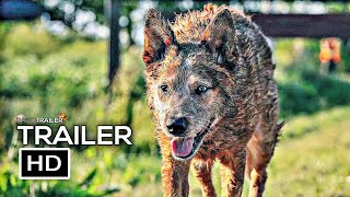 PET SEMATARY BLOODLINES Official Trailer 2023 Horror Movie HD