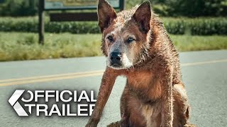 Pet Sematary Bloodlines Trailer 2023