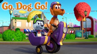 GO DOG GO  Season 1 Trailer  NETFLIX