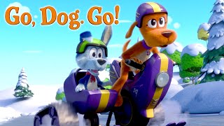 GO DOG GO  Season 2 Trailer  Netflix