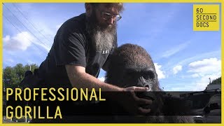 Professional Gorilla  Tom Woodruff Jr  60 Second Docs