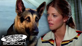The Bionic Woman Meets The Bionic Dog  The Bionic Woman  Science Fiction Station