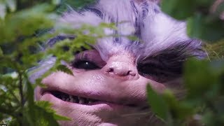 CRITTERS ATTACK Crites Clip  Trailer 2019 Dee Wallace