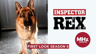 First Look Inspector Rex Season 5