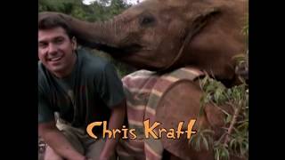 Kratts Creatures  Theme Song