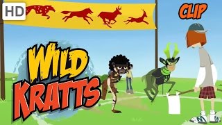 Wild Kratts  Olympic Medley Racing Diving and Swimming
