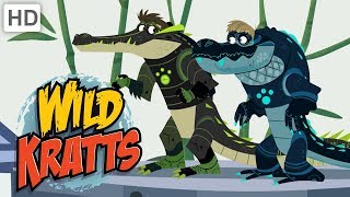 Wild Kratts  Alligators vs Crocodiles  Kids Videos