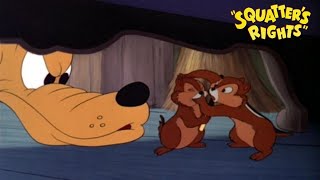 Squatters Rights 1946 Disney Cartoon Short Film  Pluto Chip and Dale