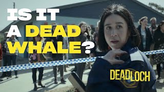 Is It A Dead Whale  Deadloch  Prime Video
